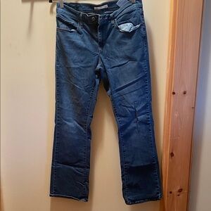 Stylish Blue Flare Women's Jeans